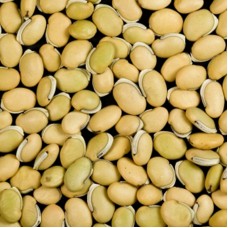 Lab Lab Bean / Kacang Makmal Lab