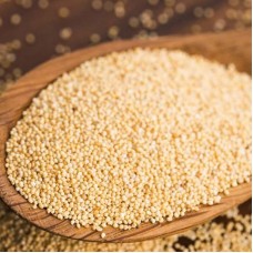 Poppy Seeds / Kasa Kasa